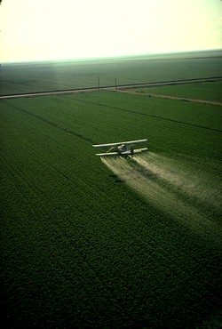 pesticide