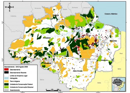 Deforestation  de  l'Amazonie