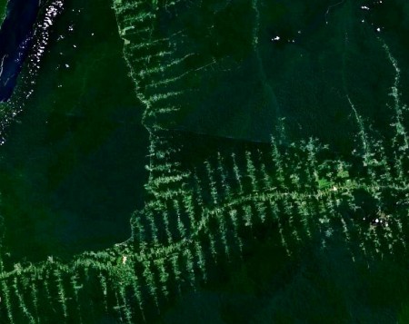 Deforestation de l'Amazonie vue de haut